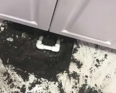 民丰查漏水哪家好
